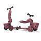 Scoot and Ride Highwaykick 1 Lifestyle - WildCat