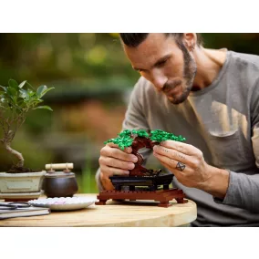 LEGO Botanicals 10281 Bonsai fa