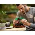 LEGO Botanicals 10281 Bonsai fa