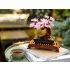 LEGO Botanicals 10281 Bonsai fa