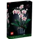 LEGO Botanicals 10311 Orchidea