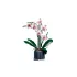 LEGO Botanicals 10311 Orchidea