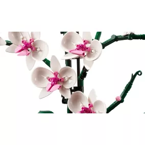 LEGO Botanicals 10311 Orchidea