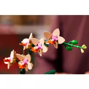 LEGO Botanicals 10343 Mini orchidea