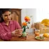 LEGO Botanicals 10368 Krizantém