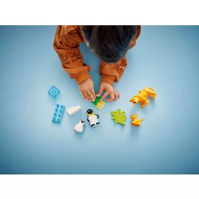   LEGO DUPLO Town 10442 Állatcsaládok a vadvilágban: Pingvinek és oroszlánok