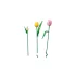 LEGO Botanicals 11501 Tulipáncsokor