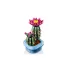 LEGO Botanicals 11509 Virágzó kaktusz