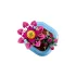 LEGO Botanicals 11509 Virágzó kaktusz