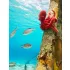 Bon Ton Toys WWF polip plüss - Rózsaszín - 50 cm