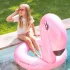 Swim Essentials úszógumi 95 cm - Rose Gold Flamingo