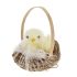 Rex London Puha húsvéti dekoráció - Csibe kosárban