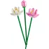 LEGO Botanicals 40647 Lótuszvirágok