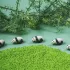 Petit Boum szenzoros játék - Sound Bottle - Panda