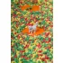 Petit Boum szenzoros játék - Spy Bottle - Háziállatok