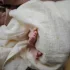 Mushie Muszlin takaró - napocska