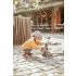 Scoot and Ride Highwaykick 1 Lifestyle - Brown lines
