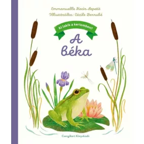 Ki lakik a kertemben? - A béka