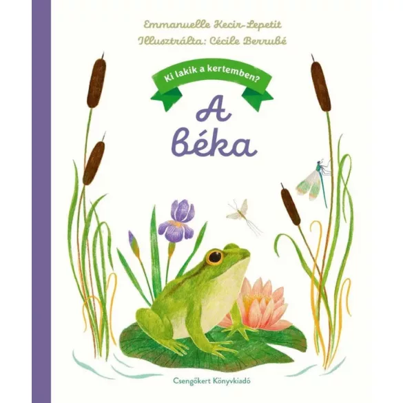 Ki lakik a kertemben? - A béka