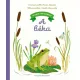 Ki lakik a kertemben? - A béka