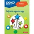 LOGICO Piccolo Matek - Fejtörős egyszeregy