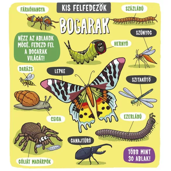 Kis felfedezők - Bogarak