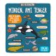 Kis felfedezők - Minden, ami tenger