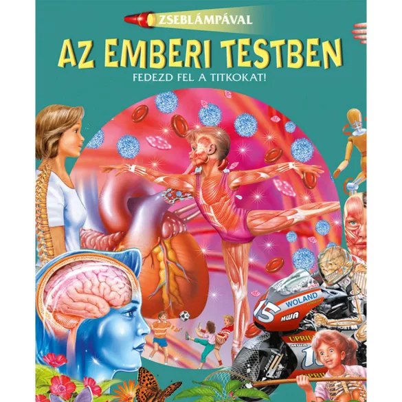 Zseblámpával - Az emberi testben
