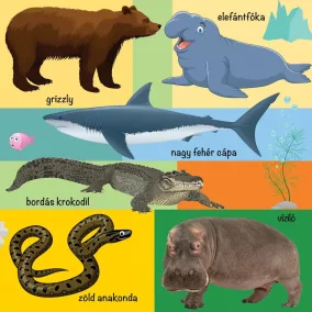 101 színes kép a vadon élő állatokról