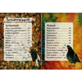 Séta a természetben (új)