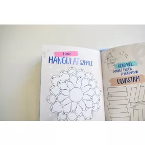 Disney - Stitch journal - Szőrmók napló mini sztorikkal