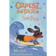 Csipesz, a tacsi szörfözik