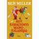 Egy karácsonyi manó kalandjai