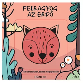 Felragyog az erdő