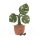 Jellycat plüss - Monstera növény