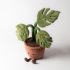 Jellycat plüss - Monstera növény