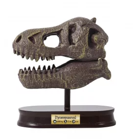 BUKI Tyrannosaurus koponya felfedező készlet