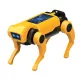 BUKI Mini Lab - RC robotkutya építő készlet