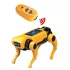 BUKI Mini Lab - RC robotkutya építő készlet