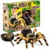 BUKI Távirányítós Pók, Tarantula - Tudományos játék