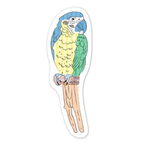   Avenir Vízzel festő kreatív könyvjelző készlet - Madarak