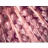 Fényes léggömb 30 cm - rose gold - 50 db-os csomag