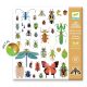 Matricák – Mikrokozmosz - Djeco 160 db-os matricakészlet