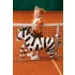 Fólia lufik Zebra 115x85 cm