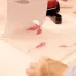 Djeco Műterem 46 - Gélnyomtatás - Színtár - Atelier 46 - Gel Printing