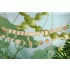 Happy Birthday girland - Safari 180 cm