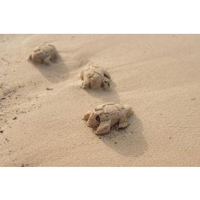 Little Dutch homokozó formák és lapát szett - kék