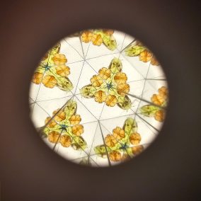 Little Dutch kaleidoszkóp Forest Friends