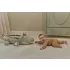 Little Dutch activity plüss krokodil - Safari Friends