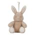 Little Dutch alvást segítő zenélő nyuszi éjjeli fénnyel - Newborn Naturals